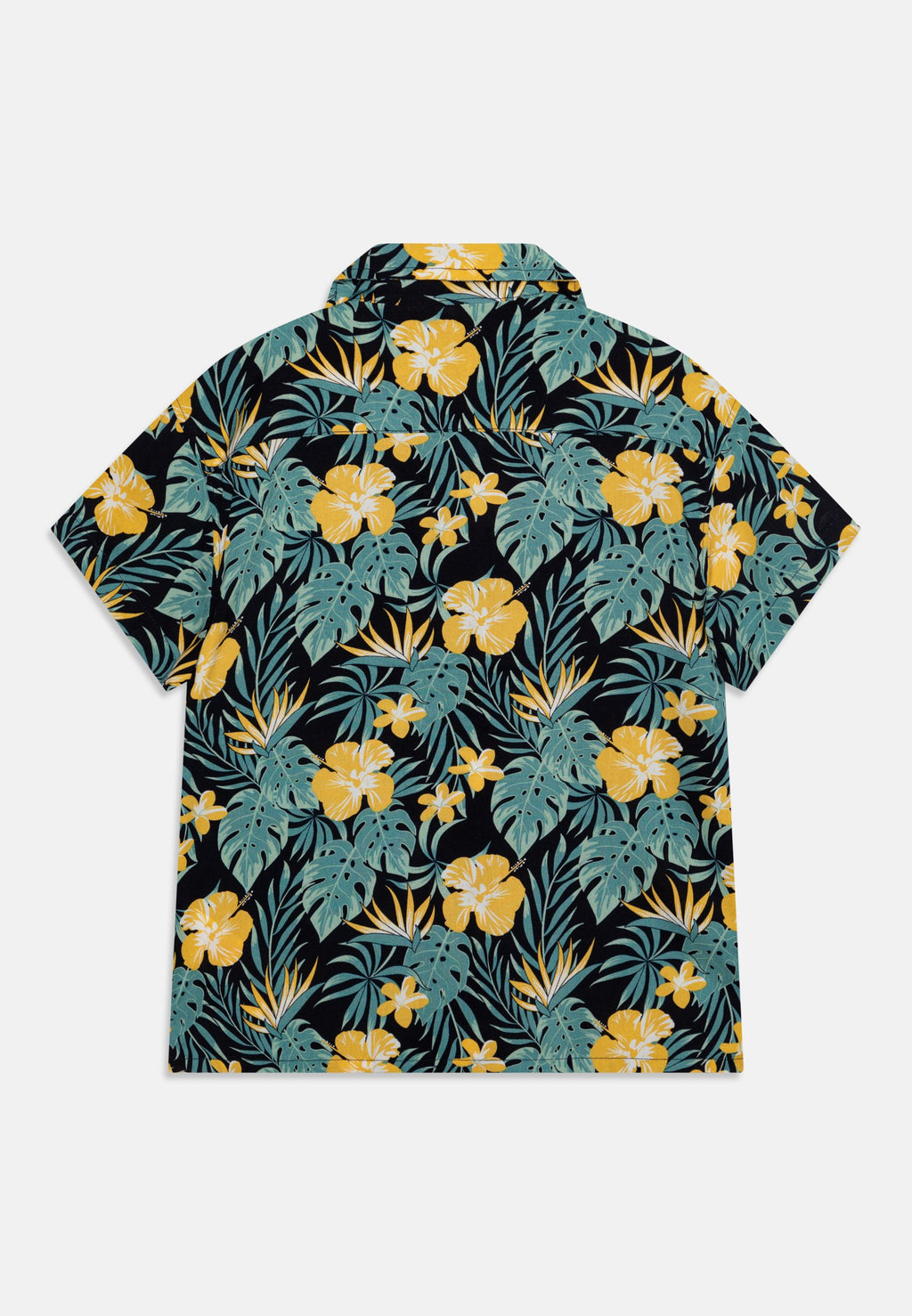 Camicia Ferane